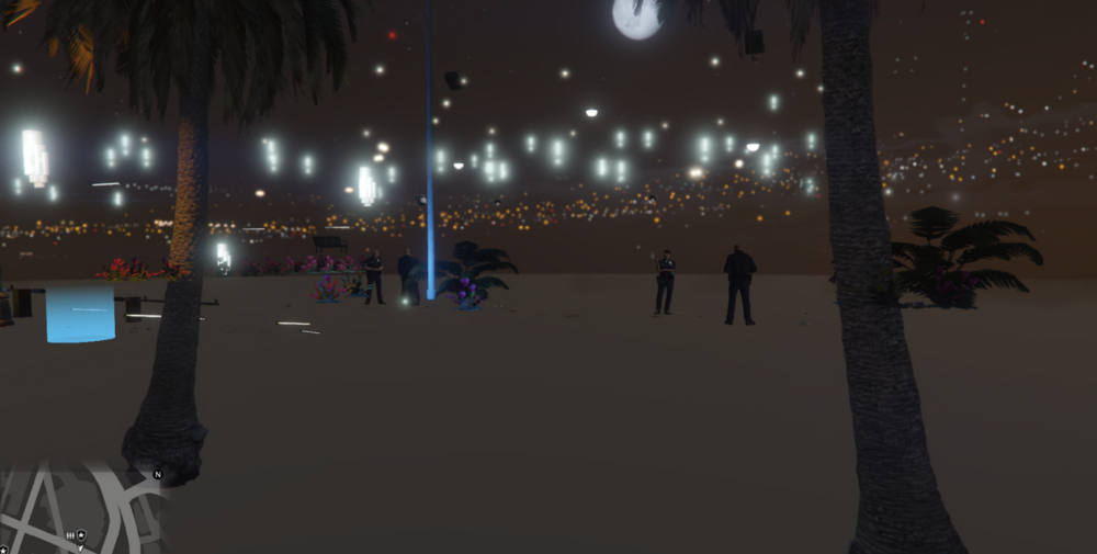 Could contain: tree, outdoor, palm tree, night, winter, rink