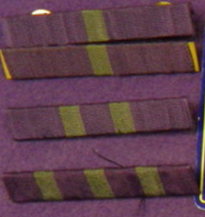 Could contain: purple, needle, indoor