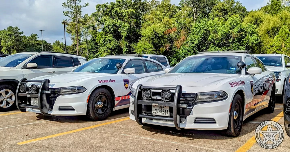 Could contain: vehicle, land vehicle, wheel, outdoor, tree, automotive design, bumper, luxury vehicle, tire, personal luxury car, mid-size car, alloy wheel, sports sedan, full-size car, transport, parked, car, parking, ground