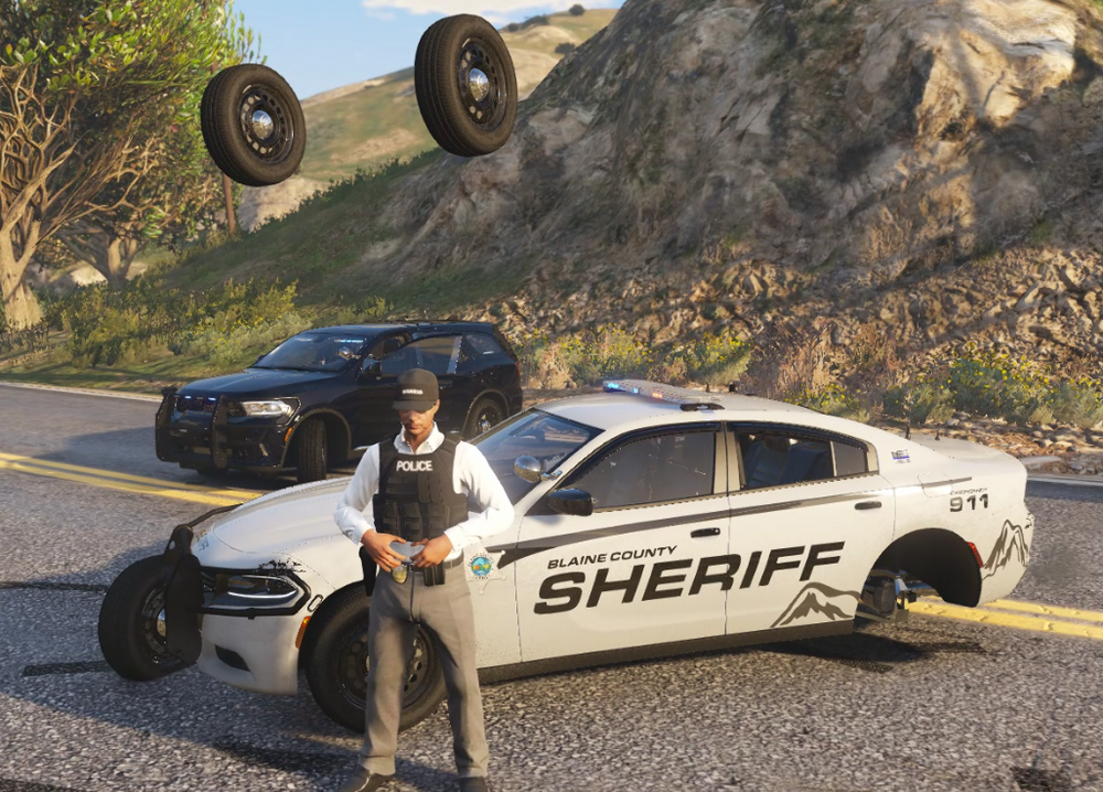 Could contain: vehicle, outdoor, wheel, land vehicle, tire, car, transport, auto part, road, full-size car, mountain, ground, police