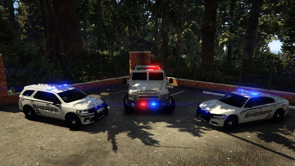 Could contain: vehicle, land vehicle, tree, outdoor, wheel, transport, ground, road, car, automotive tail & brake light, automotive exterior, automotive lighting, police, street, parked