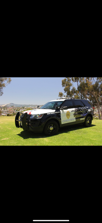 Could contain: vehicle, outdoor, land vehicle, grass, transport, sky, wheel, automotive design, car, field