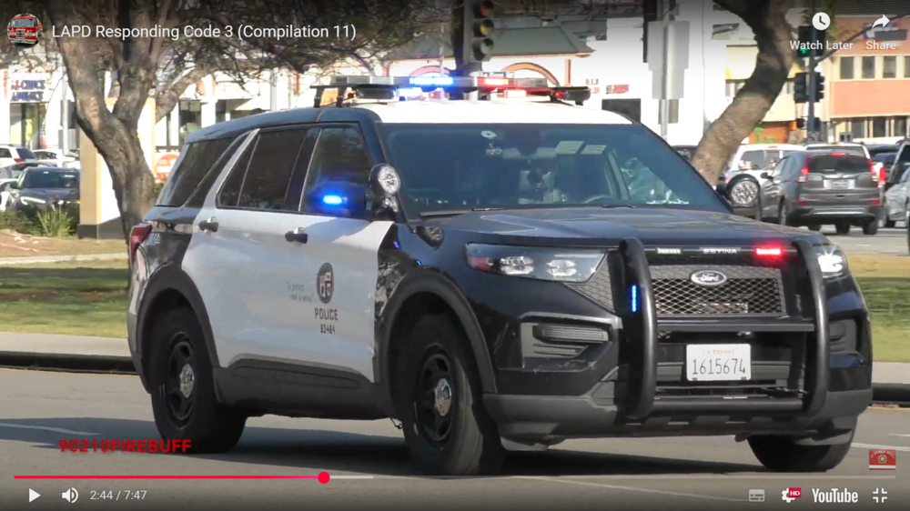 Could contain: vehicle, land vehicle, wheel, text, outdoor, tire, transport, police car, law enforcement, car, bumper, sport utility vehicle, auto part, vehicle registration plate, motor vehicle, ford, automotive exterior, compact sport utility vehicle, full-size car, mitsubishi, nissan, ford motor company, roof rack, crossover suv, police, street, suv