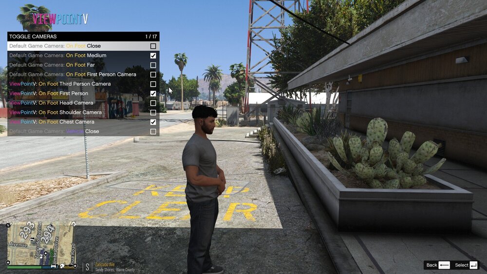 Could contain: clothing, sky, outdoor, tree, plant, screenshot, person, ground