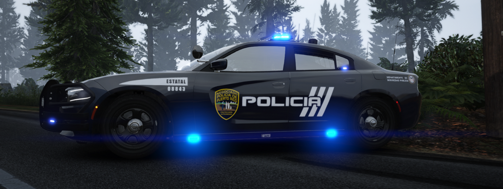 Could contain: vehicle, land vehicle, wheel, tire, transport, tree, road, outdoor, auto part, automotive design, motorsport, automotive exterior, car, bumper, police, light