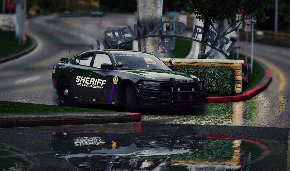 Could contain: outdoor, vehicle, land vehicle, wheel, tire, auto part, sports car, automotive design, road, grass, street, ground, car