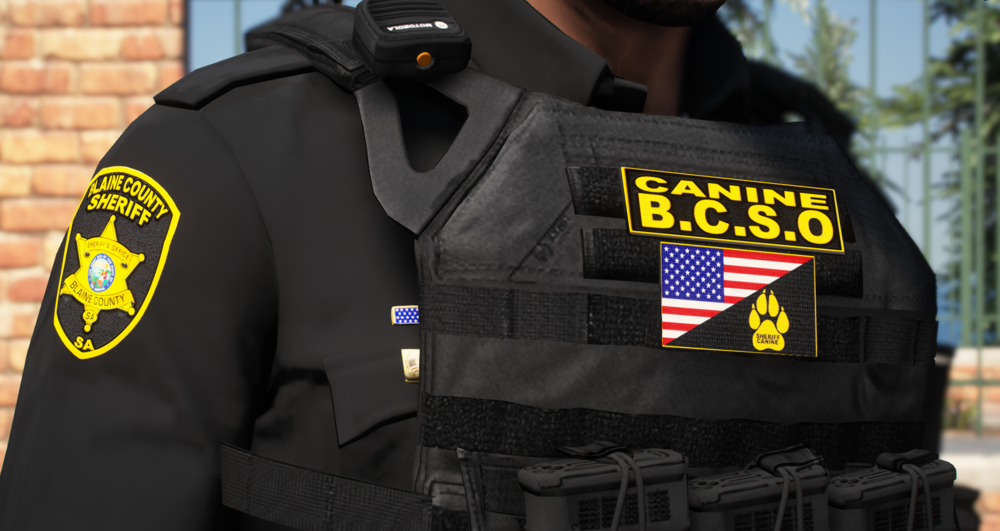 Could contain: person, clothing, jacket, outdoor, security, police officer, law enforcement, vest