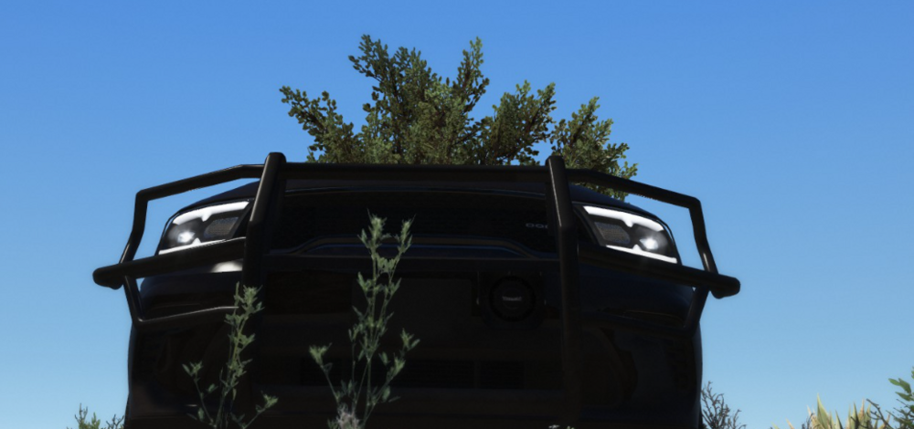 Could contain: sky, outdoor, tree, plant, roof