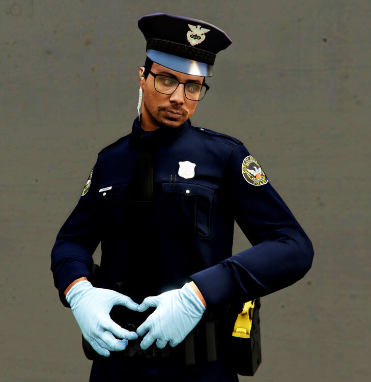 Could contain: person, clothing, official, law enforcement, peaked cap, police officer, security, military rank, government agency, military uniform, uniform, man, police, human face, organization, officer, outdoor