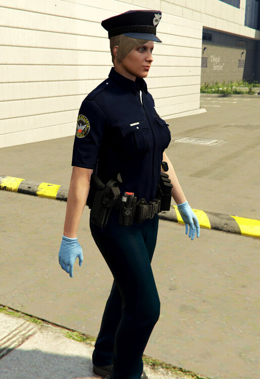 Could contain: person, outdoor, clothing, trousers, footwear, police officer, uniform, security, law enforcement, sleeve, police, ground, wearing