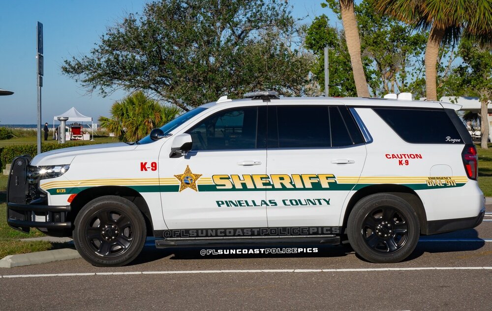 Could contain: vehicle, land vehicle, wheel, transport, outdoor, text, tire, emergency vehicle, motor vehicle, law enforcement, auto part, car, police car, vehicle registration plate, tree, automotive exterior, minivan, police van, ford, emergency service, police, sport utility vehicle, road, van, parked