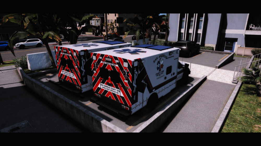 Could contain: outdoor, tree, funeral, plant, box, container, street