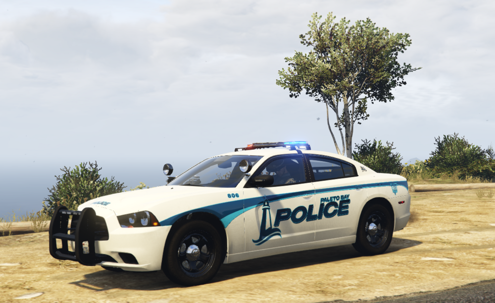 Could contain: vehicle, land vehicle, transport, sky, wheel, outdoor, police car, law enforcement, car, police, full-size car, ford
