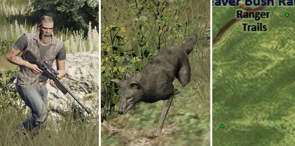 Could contain: plant, outdoor, clothing, grass, person