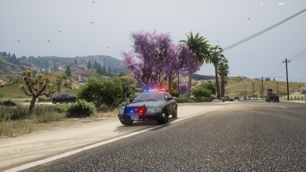 Could contain: outdoor, vehicle, land vehicle, sky, road, wheel, tree, plant, car, tire, ground, purple, street, driving