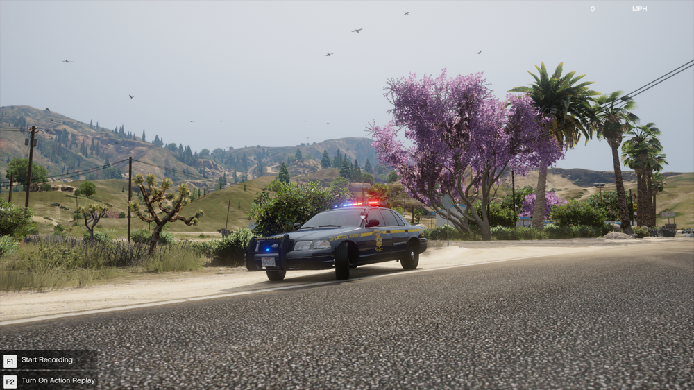 Could contain: outdoor, vehicle, sky, land vehicle, tree, road, wheel, plant, ground, car, grass, driving, mountain, purple