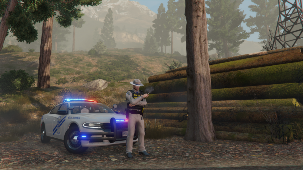 Could contain: vehicle, land vehicle, outdoor, tree, wheel, tire, car, transport, ground, person