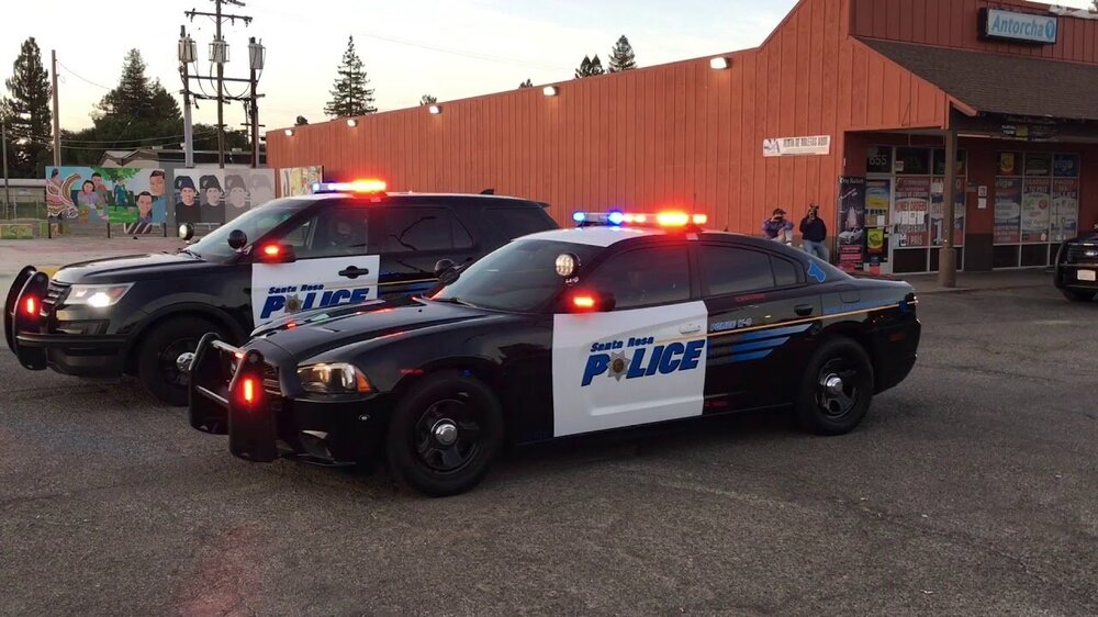 Could contain: vehicle, land vehicle, wheel, outdoor, transport, law enforcement, text, tire, police car, emergency service, emergency vehicle, ford crown victoria police interceptor, emergency, automotive exterior, full-size car, road, police, car, street