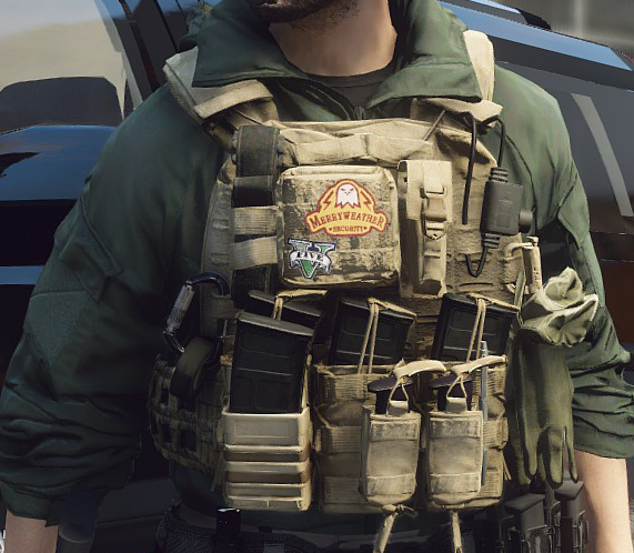 Could contain: person, clothing, ballistic vest, security, man, outdoor, military uniform, vest