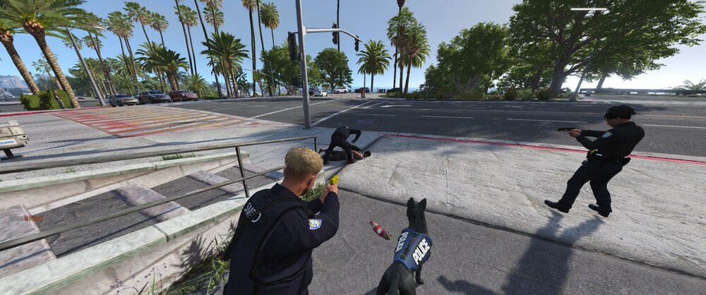 Could contain: outdoor, sky, person, clothing, tree, road, footwear, man, ground