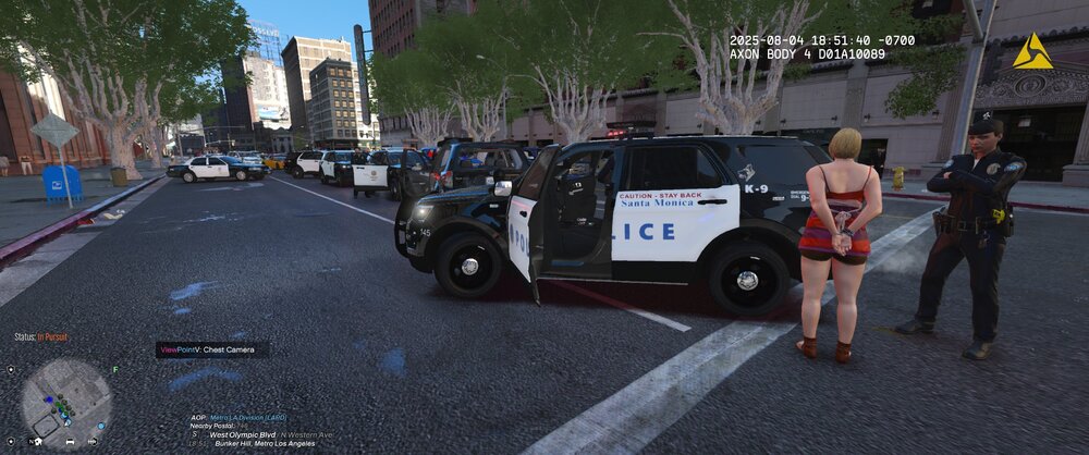 Could contain: text, vehicle, land vehicle, outdoor, car, wheel, tire, clothing, road, footwear, street, person, police