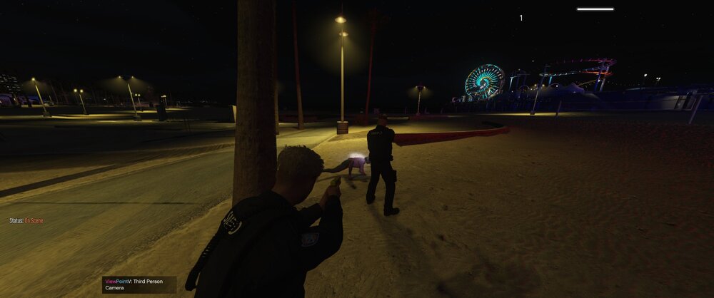 Could contain: outdoor, sky, street light, night, person, road, darkness, ground, street, winter, light