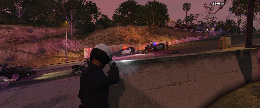 Could contain: outdoor, tree, clothing, screenshot, person, street