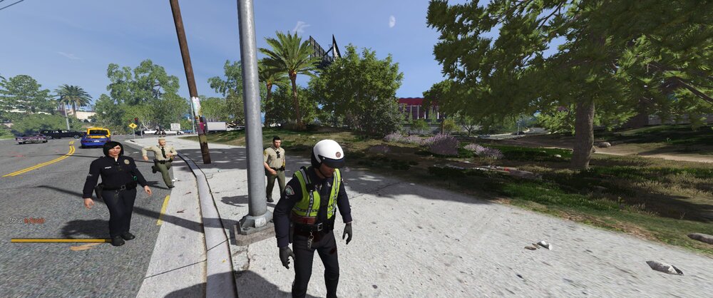 Could contain: outdoor, sky, tree, road, road surface, person, clothing, asphalt, street, ground, people