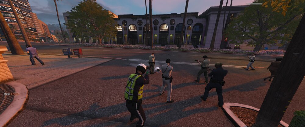 Could contain: outdoor, tree, sky, person, ground, people, street