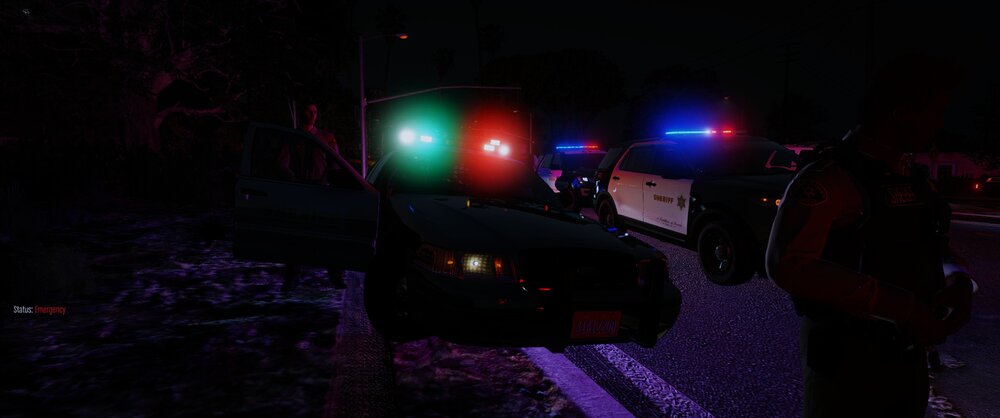 Could contain: outdoor, darkness, traffic light, night, street, person, light, ground