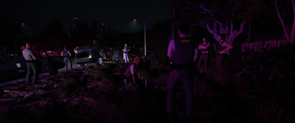 Could contain: outdoor, darkness, tree, purple, magenta, night