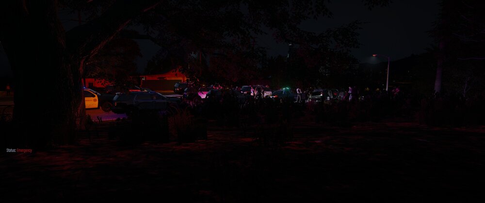 Could contain: outdoor, tree, darkness, car, night, vehicle, dark, light, street