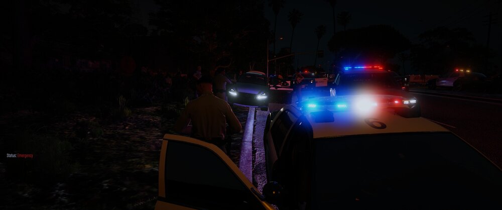 Could contain: outdoor, car, vehicle, land vehicle, night, darkness, street light, tree, electricity, light, street, dark