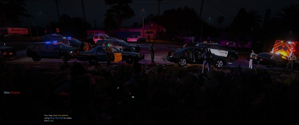 Could contain: outdoor, concert, tree, music, festival, crowd