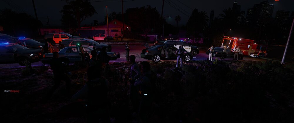 Could contain: outdoor, tree, concert, music