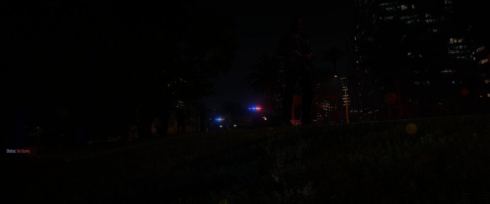 Could contain: outdoor, darkness, sky, fireworks, night, light, dark