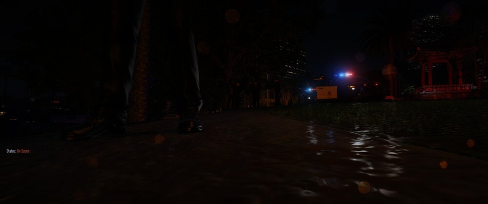Could contain: outdoor, night, darkness, street light, electricity, security lighting, sky, street, light, ground, dark, city