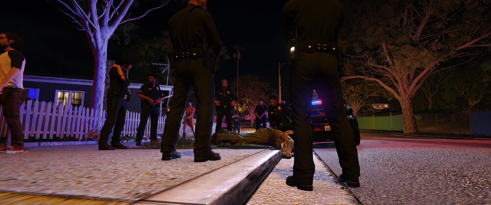 Could contain: outdoor, clothing, tree, street light, footwear, ground, building, landscape lighting, night, lighting, person, street, people, light, winter, sidewalk