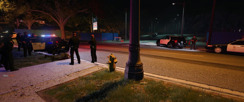 Could contain: outdoor, vehicle, land vehicle, car, road, tree, street, night, street light, ground, grass, sidewalk, city, people, light