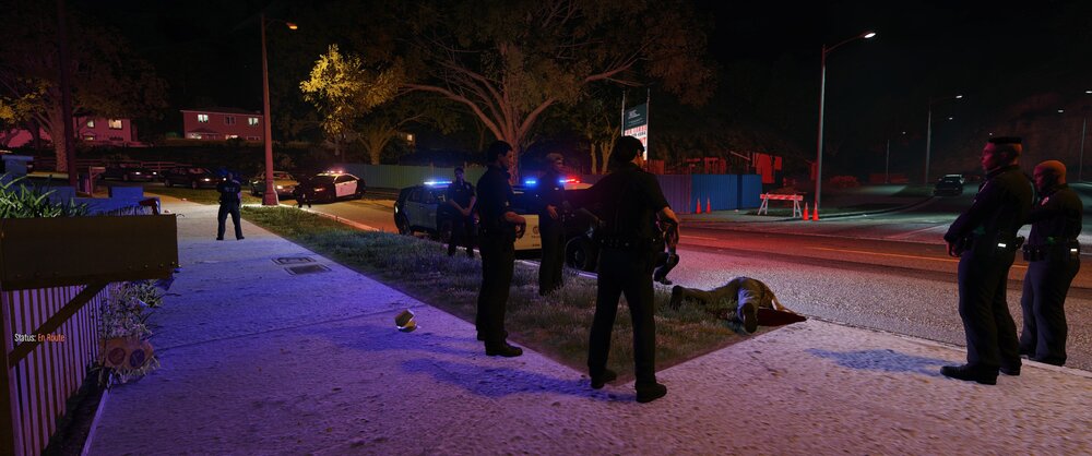 Could contain: outdoor, tree, snow, night, clothing, street light, winter, ground, person, people, street, sidewalk, light