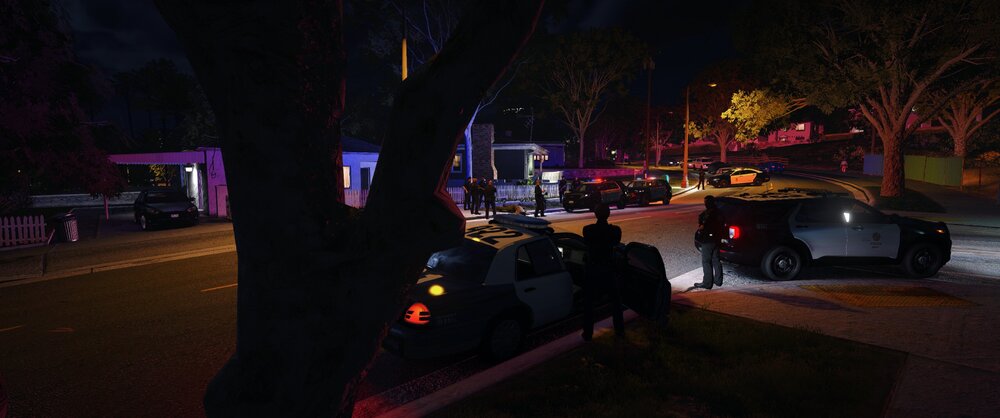 Could contain: outdoor, car, vehicle, land vehicle, tree, wheel, night, street, light, person
