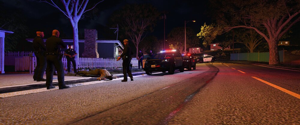 Could contain: outdoor, road, vehicle, land vehicle, street, tree, street light, car, wheel, road surface, night, way, light, ground, people, person, winter
