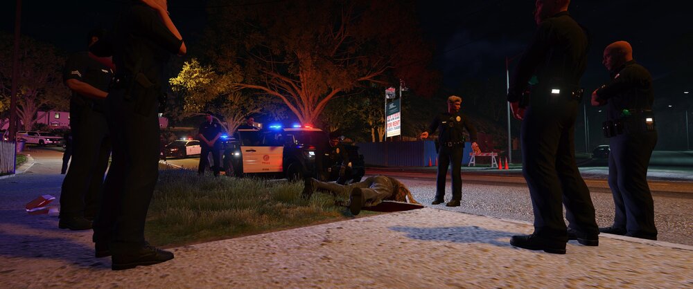Could contain: clothing, outdoor, tree, man, person, footwear, ground, night, street, people, standing, winter, light, sidewalk
