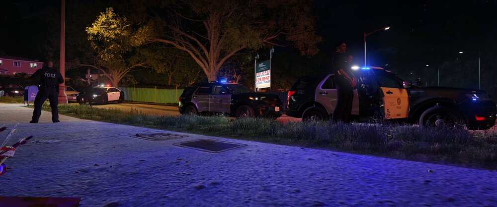 Could contain: outdoor, tree, street light, night, landscape lighting, electricity, ground, light, street, christmas, people, winter