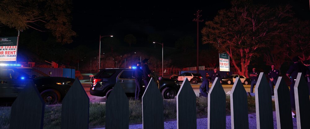 Could contain: outdoor, tree, night, building, street, light