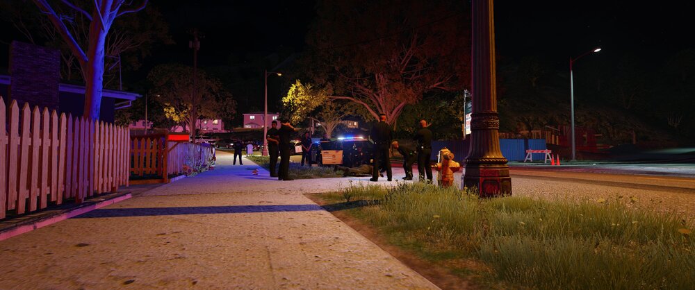 Could contain: outdoor, tree, night, street light, sky, grass, ground, plant, landscape lighting, security lighting, street, road, light, sidewalk, people