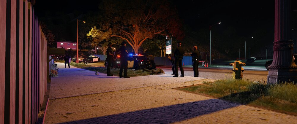 Could contain: outdoor, tree, street light, night, street, ground, sky, road, people, sidewalk, light, city