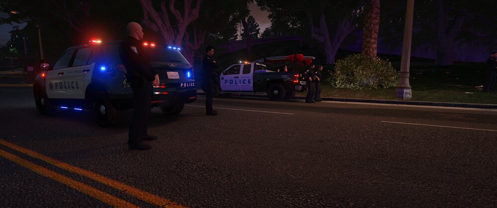 Could contain: outdoor, vehicle, road, land vehicle, tree, car, wheel, street, night, road surface, light, police