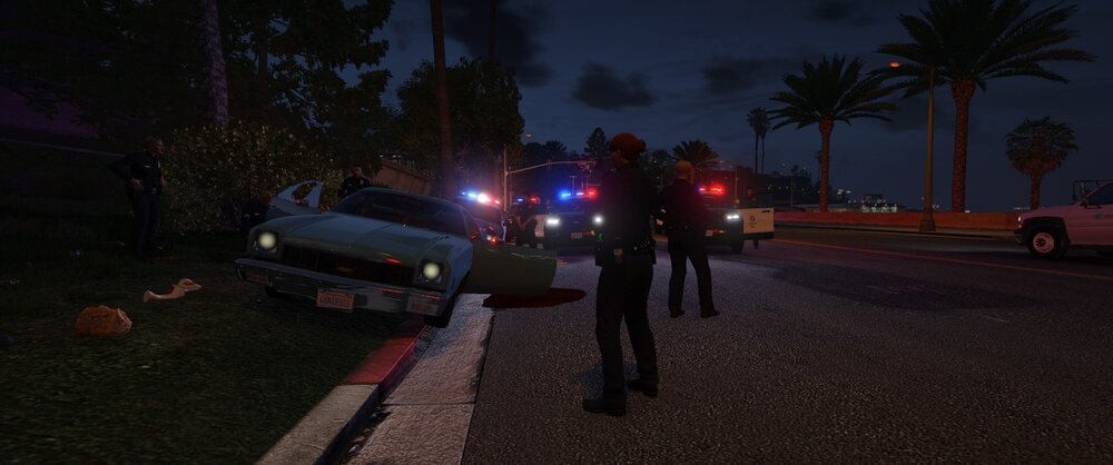 Could contain: outdoor, vehicle, land vehicle, sky, tree, wheel, road, ground, street, car, night