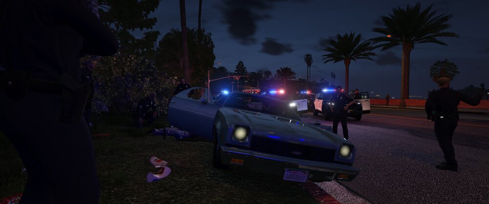 Could contain: vehicle, outdoor, land vehicle, sky, tree, car, wheel, screenshot, person, ground, night